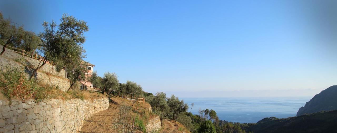 Agriturismo Missanega Monterosso al Mare Buitenkant foto